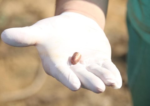 CV quis passar recado ao atirar no olhos do suspeito de matar mãe de influencer, diz polícia