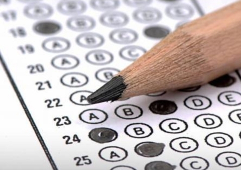 Ibama e Incra abrem inscrições para concursos com salários de até R$ 9,8 mil