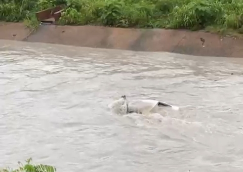 Vítimas de carro de que caiu no igarapé do 40 são identificadas