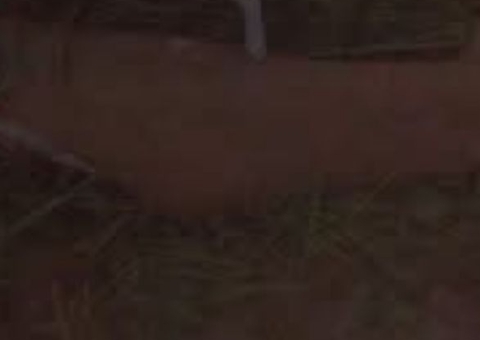 Homem tem braço decepado e morre enquanto tentava salvar a própria vida no Amazonas