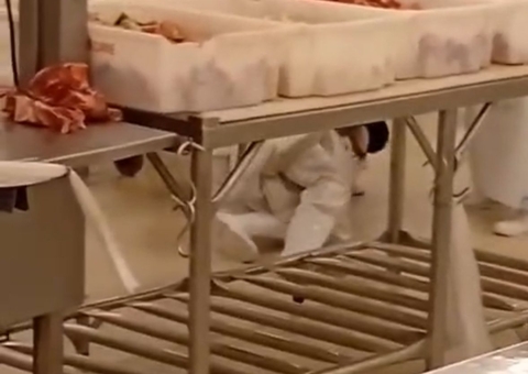 Vídeo mostra funcionários do Baratão da Carne durante pancaria em açougue