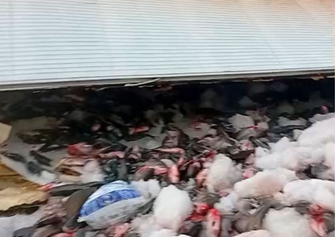 Carga de tambaqui tomba na BR-319