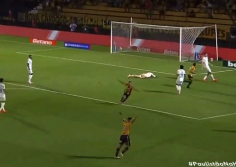 Palmeiras sofre goleada histórica para o Novorizontino