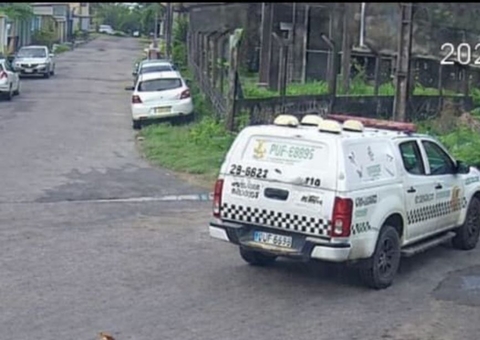 Viatura da PM passa por cima de cadelas em Manaus; vídeo