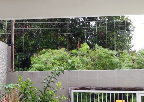 Chuva avança para o interior e deixa quatro municípios em estado de alerta no Amazonas