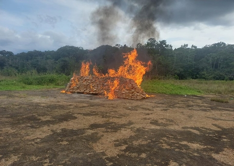 Toneladas de drogas apreendidas com colombianos são incineradas no Amazonas