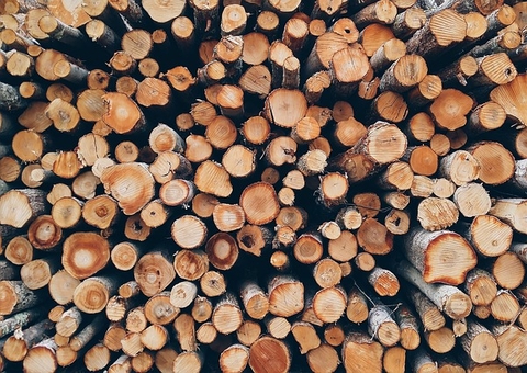 Amazonas foi o segundo estado da Amazônia Legal Brasileira em desmatamento em 2022, diz Inpe