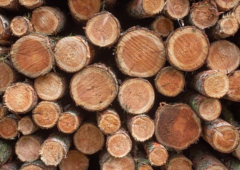 Compras em áreas desmatadas na Amazônia poderão ser auditadas na Europa