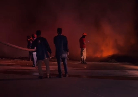 Incêndio destrói área de mata no Distrito Industrial