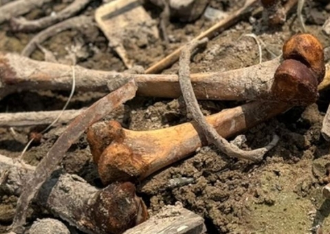 Populares encontram osso humano na Feira da Panair 