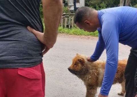 Cachorro é resgatado de casa em chamas durante incêndio no Amazonas 