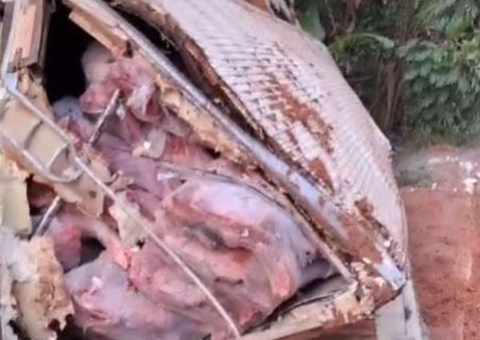 Carreta que transportava carga de carne tomba na BR-319