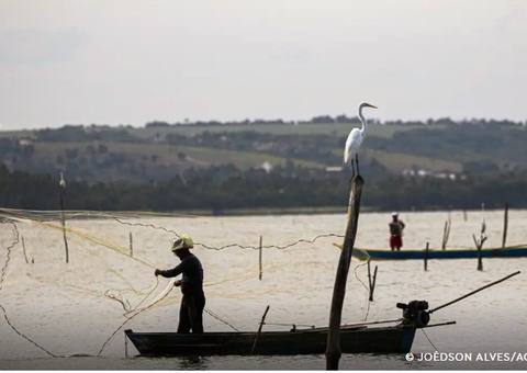 Governo Federal aciona PF para investigar fraudes no Seguro-Defeso