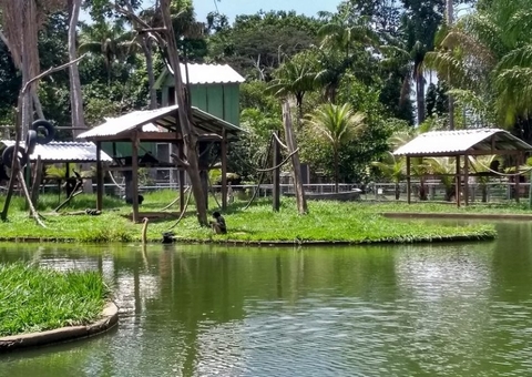 Zoológico do CIGS reabre para visitação nesta quinta-feira