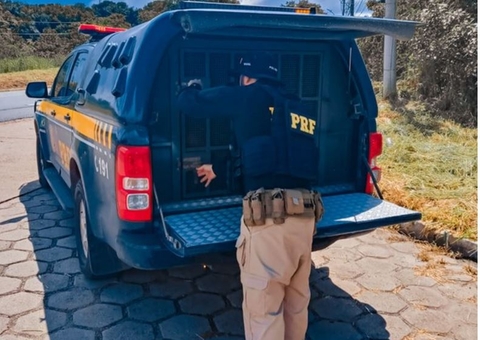 Foragido do Pará é preso durante blitz da PRF no Amazonas