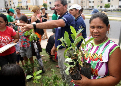 Mil mudas serão distribuidas no Conjunto Viver Melhor