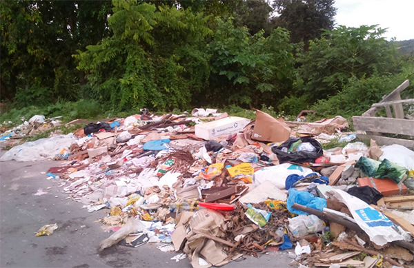 Lixo toma conta de área verde no Nova Cidade