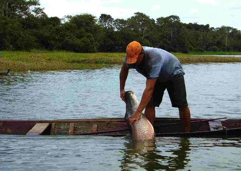 Conservação das várzeas amazônicas é tema de palestra
