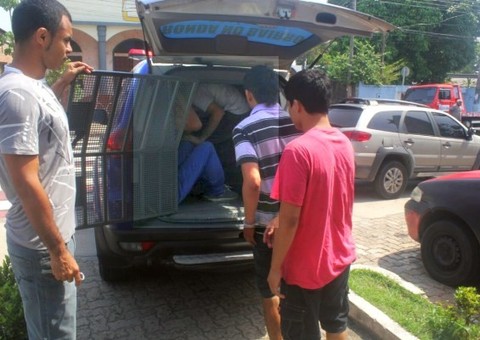 Roubam em Petrópolis e são presos na Compensa