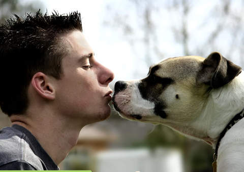 Cientistas acreditam que receber beijos de cão pode trazer benefícios à saúde do dono