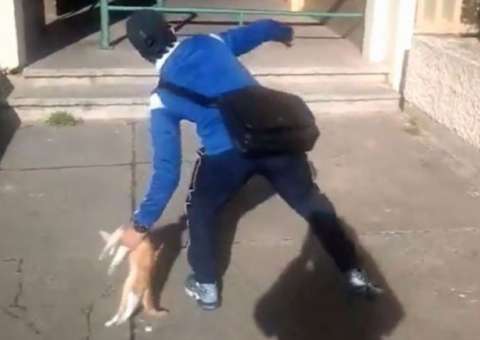 Rapaz que filmou momento em que arremessava gatinho em edifício e postou vídeo no Facebook é preso 