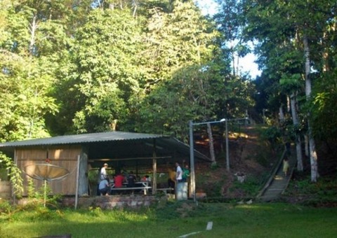 Adolescente perdidos na mata da reserva Adolpho Ducke são encontrados