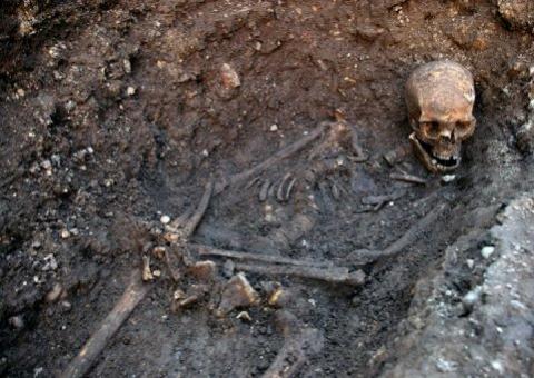 Ricardo III, um rei infestado por parasitas