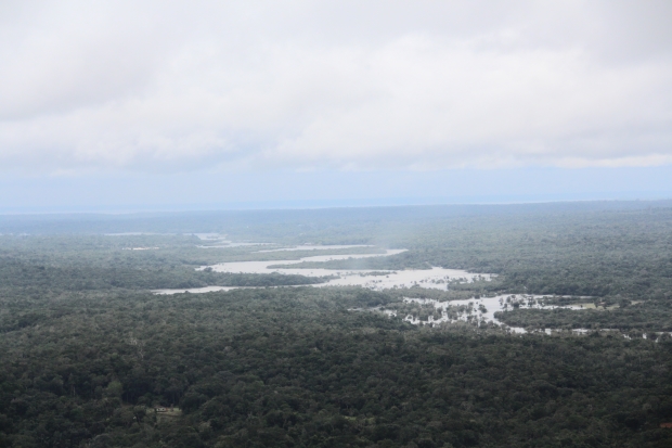 Influência da Amazônia na seca do Sudeste é debatida Inpa