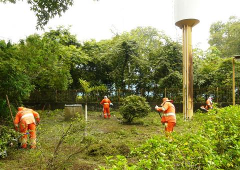 Unidade de conservação recebe serviços de limpeza  