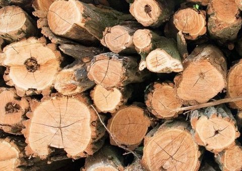 Homem mata melhor amigo com estaca em Humaitá