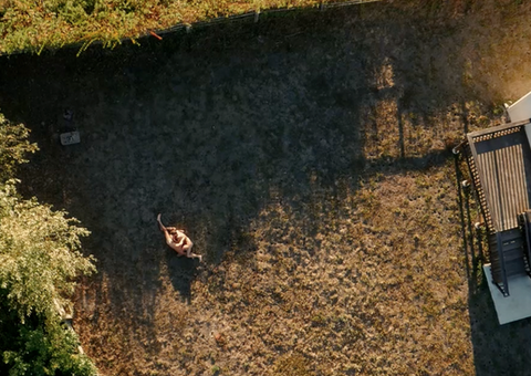 Veja trailer de primeiro filme pornô gravado por drones