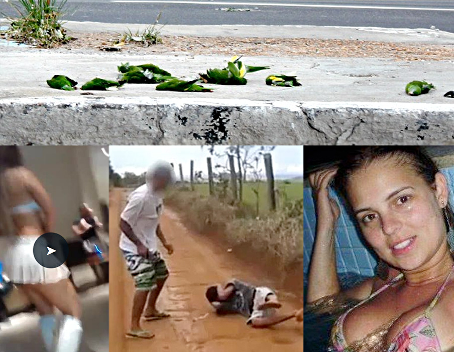 Reveja as notícias mais lidas da semana