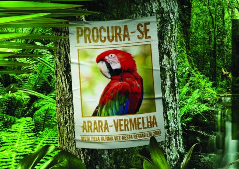 Veterinários promovem campanha contra tráfico de animais 