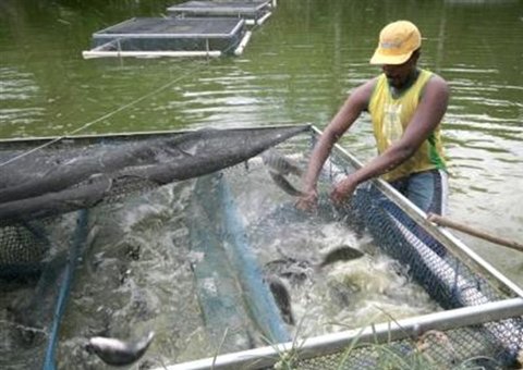 Deputado destaca ação do governo em apoio aos ribeirinhos