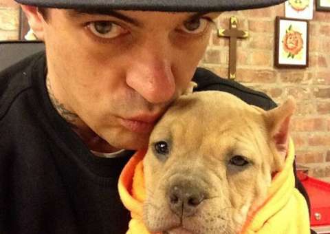 Cadela foi tatuada enquanto estava sedada