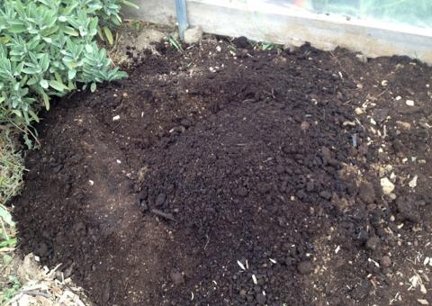 Terra Prometida é terra de índio encontrada no Iranduba