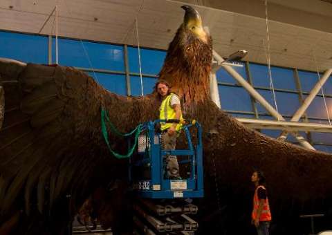 Terremoto de 6,3 graus atinge ilha do norte da Nova Zelândia