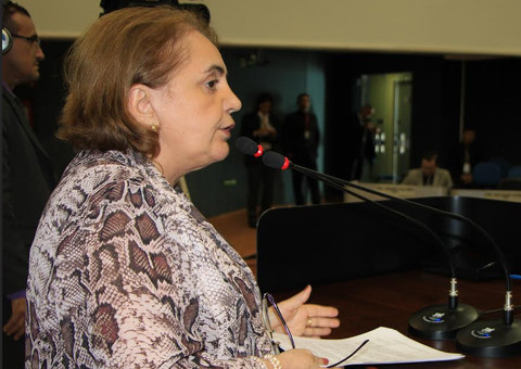 Indicação prevê a criação de Núcleo de Apoio a Alfabetização no município