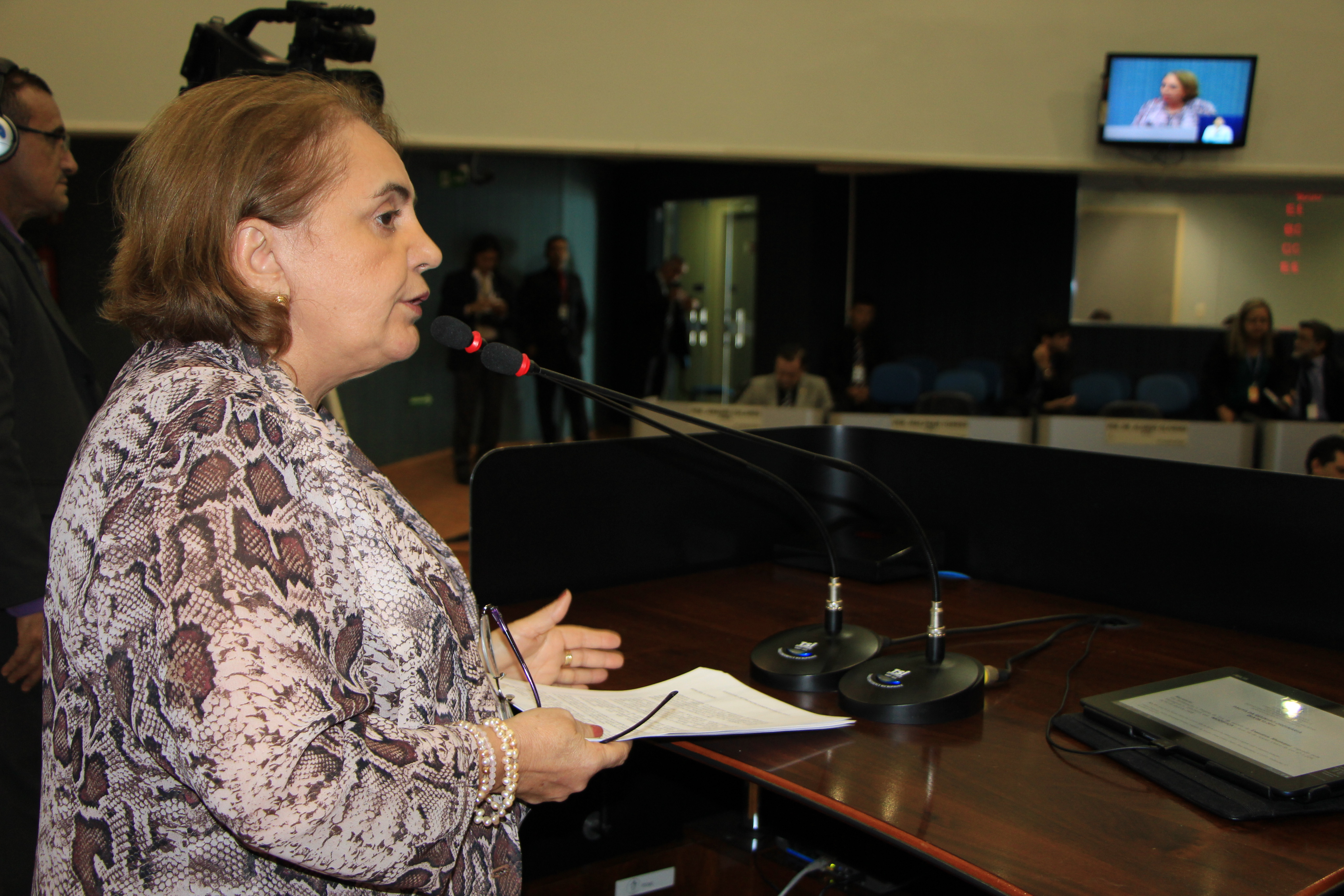 Indicação prevê a criação de Núcleo de Apoio a Alfabetização no município