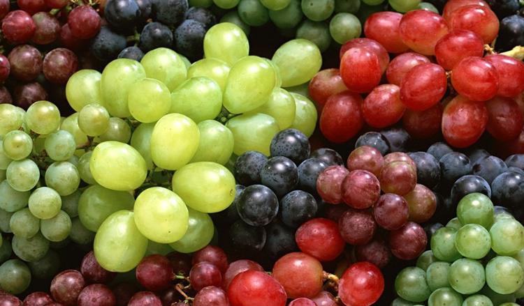 tipos-de-uva.jpg