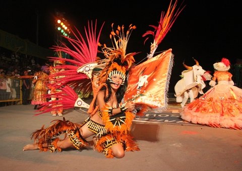 Festival de bois e pássaros deve reunir 10 mil pessoas em Parintins