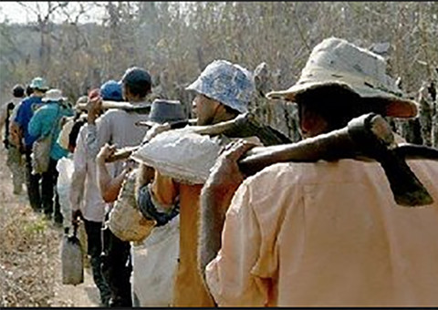 MTE divulga análise do trabalho escravo em 2014