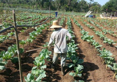 Emenda ao orçamento estadual deve reforçar o extensão rural