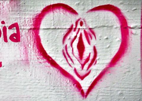 Fotos de vulvas anônimas fazem sucesso na internet 