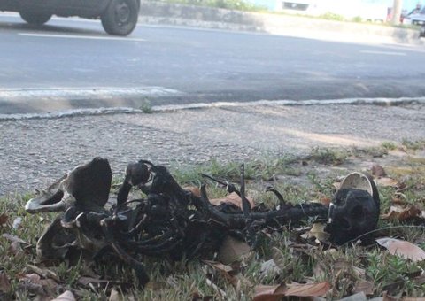 Ufam diz que esqueleto humano jogado em lixeira não lhe pertence