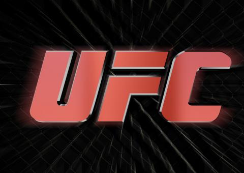 MMA pode ser proibido na TV