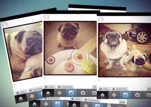 5 dicas para não ser um idiota no Instagram