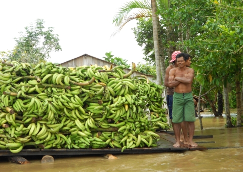 Estado concede anistia a agricultores afetados pela cheia