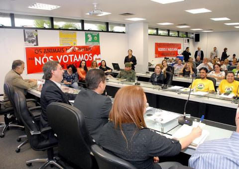 Ativistas cobram execução da política de proteção animal