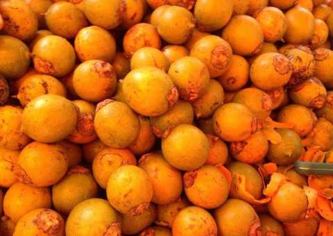 Fiscais da Comissão de Defesa do Consumidor recolhem amostras de tucumãs para análise em laboratório